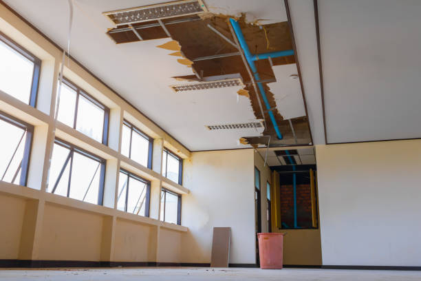 Best Basement water damage restoration  in Tyro, NC