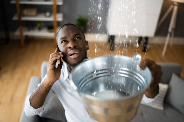 Best Flooded house restoration  in Tyro, NC
