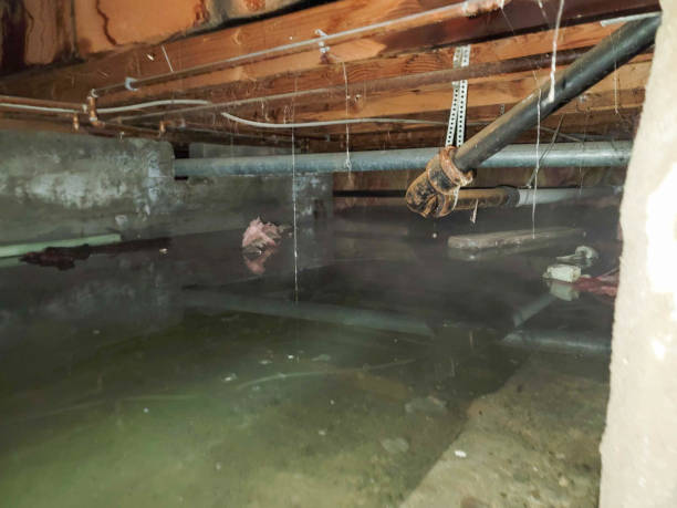 Best Carpet water damage restoration  in Tyro, NC