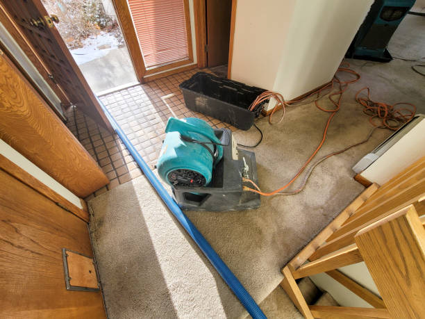 Best Carpet water damage restoration  in Tyro, NC