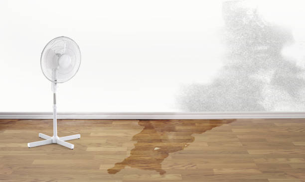 Best Fire Damage Restoration  in Tyro, NC