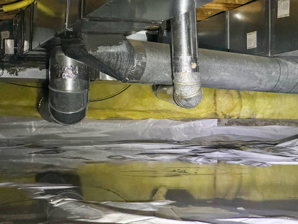 Best Flood damage cleanup  in Tyro, NC