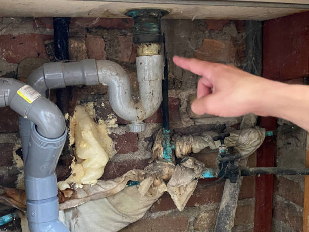 Best Professional water damage repair  in Tyro, NC